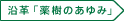 沿革「薬樹の歩み」