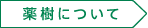 薬樹について