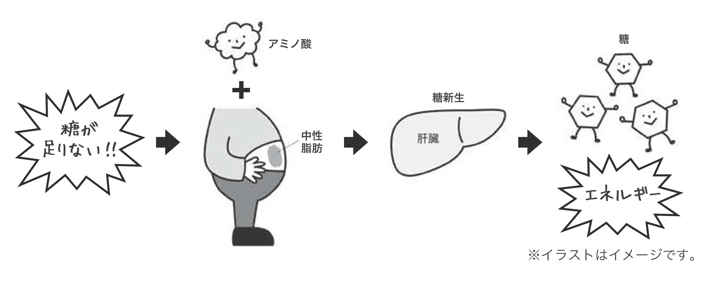 薬樹 管理栄養士 Blog Archive Vol 2 糖質制限ダイエット