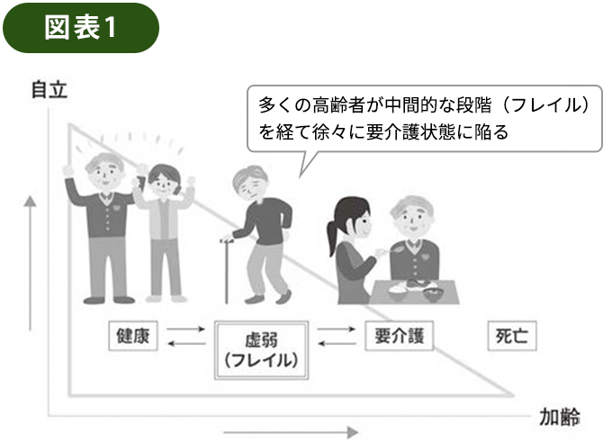 図表1 自立と加齢のグラフ